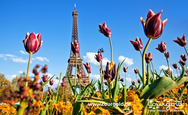 Eiffelturm Paris Frühling