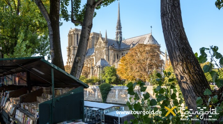 Paris Bouquinistes Notre Dame